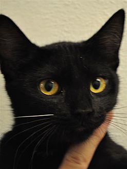 Sabrina (19401399)