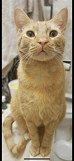 Odie (21067152)