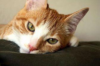 Jerry (21464819)